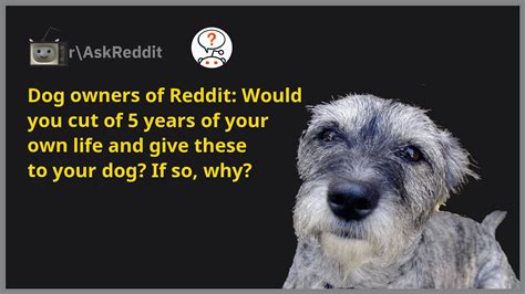 askreddit dog|Best Dog Posts .